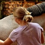 Hoe verzorg je de vacht van een paard?