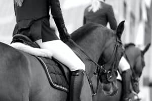 Lees meer over het artikel Hoe vaak moet mijn paard bereden worden?