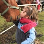 Lees meer over het artikel Vanaf welke leeftijd kun je een paard zelf verzorgen?