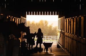 Lees meer over het artikel Wanneer gaan paarden op stal?