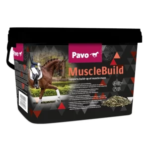 Lees meer over het artikel Pavo Musclebuild