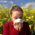 Ik heb een hooi allergie, hoe veilig is een manege?