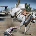 Lees meer over het artikel Wat zijn de 10 meest voorkomende paard gerelateerde ongelukken?