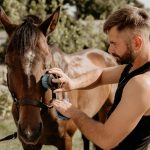 Lees meer over het artikel Verantwoord Paardrijden en de Rol van het Paarden Welzijnsbewijs in de Sport