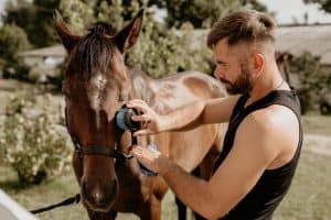 Lees meer over het artikel Verantwoord Paardrijden en de Rol van het Paarden Welzijnsbewijs in de Sport