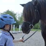 Lees meer over het artikel Beste Beschermende Caps Voor Paardrijden